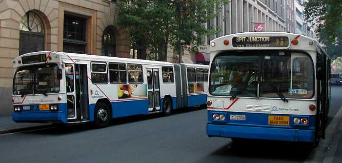 Sydney Buses Mercedes PMC 2551 and 2306